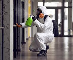 Trusted Honeoye Falls, NY Mold Removal & Remediation Experts